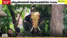 പാലക്കാട് കുന്നത്തൂർമേട്ടിലെ ക്ഷേത്രത്തിൽ ശ്രീകൃഷ്ണജയന്തി ആഘോഷത്തിനിടെ ആന ഇടഞ്ഞു