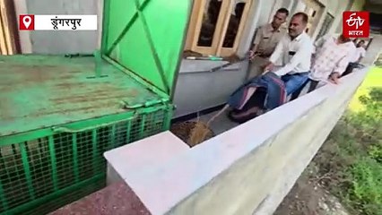 सुबह उठे तो घर की गैलेरी में बैठा था पैंथर, देशी जुगाड़ से किया रेस्क्यू...देखिए वीडियो