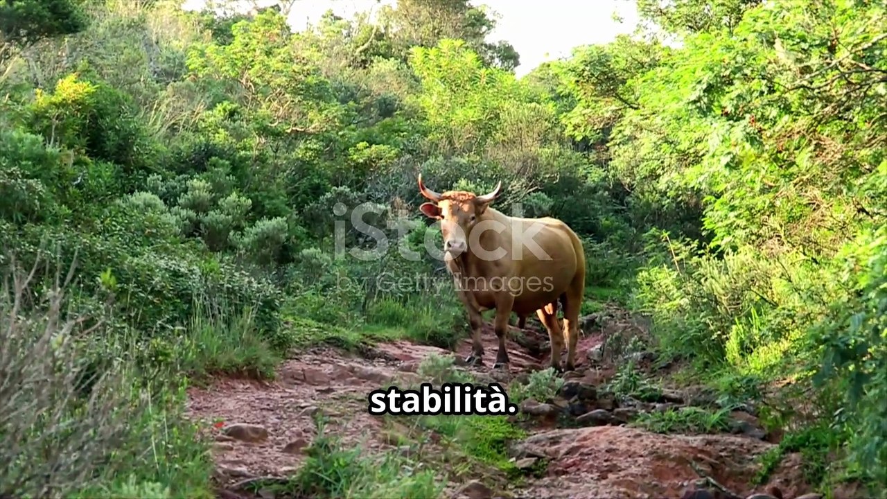 Scopri la Personalità del Toro_ Un Viaggio Astrologico