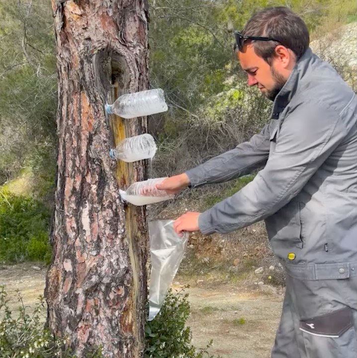 BIZARRE : des matériaux naturels dont vous n'avez jamais entendu parler ! Les matériaux naturels dont vous n'avez jamais entendu parler 🍄✨✨