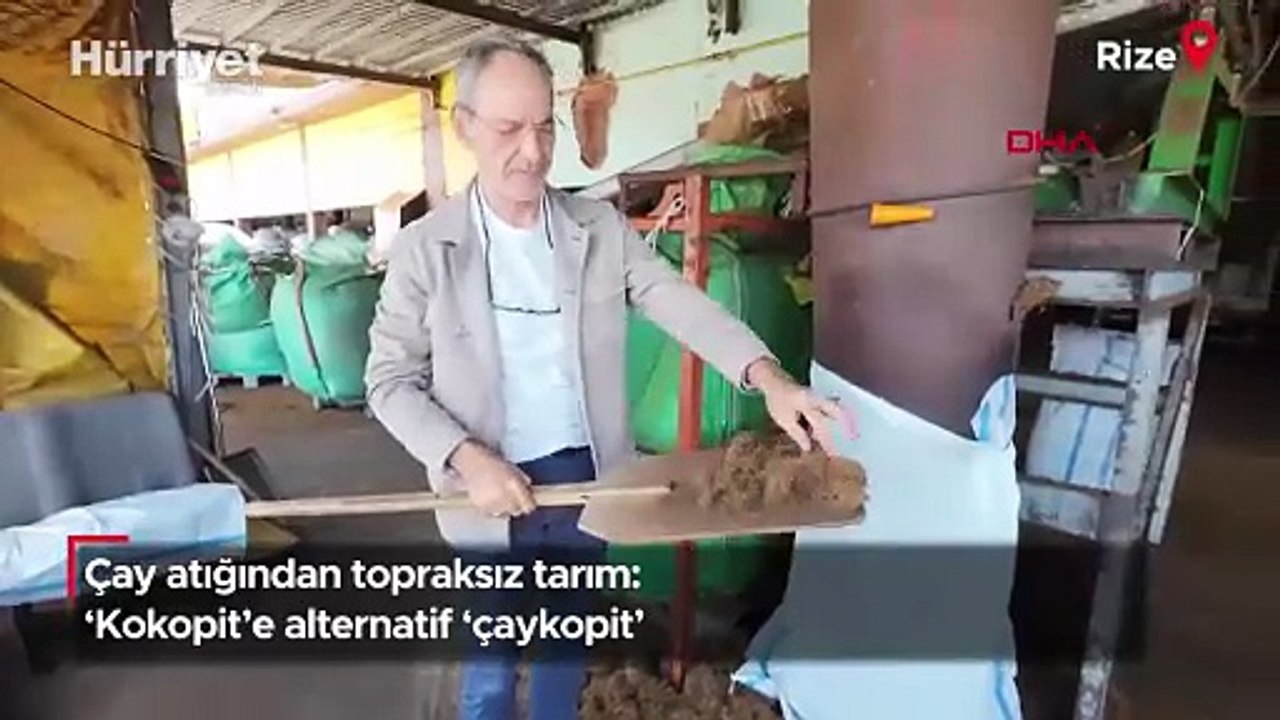Çay atığından topraksız tarım: ‘Kokopit’e alternatif ‘çaykopit’