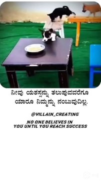 #motivation#quotes#kannadaqoutes#krishna#kannada#youtubeshors#status#morningstatus#facts#life#sad