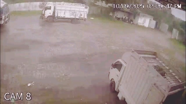 पेड़ों पर बिजली गिरने की घटनाएँ CCTV कैमरों में कैद हुई हैं| और इनके ये फुटेज दर्शाते हैं कि कैसे बिजली गिरने से पेड़ में आग लगती है या वे टूट सकते