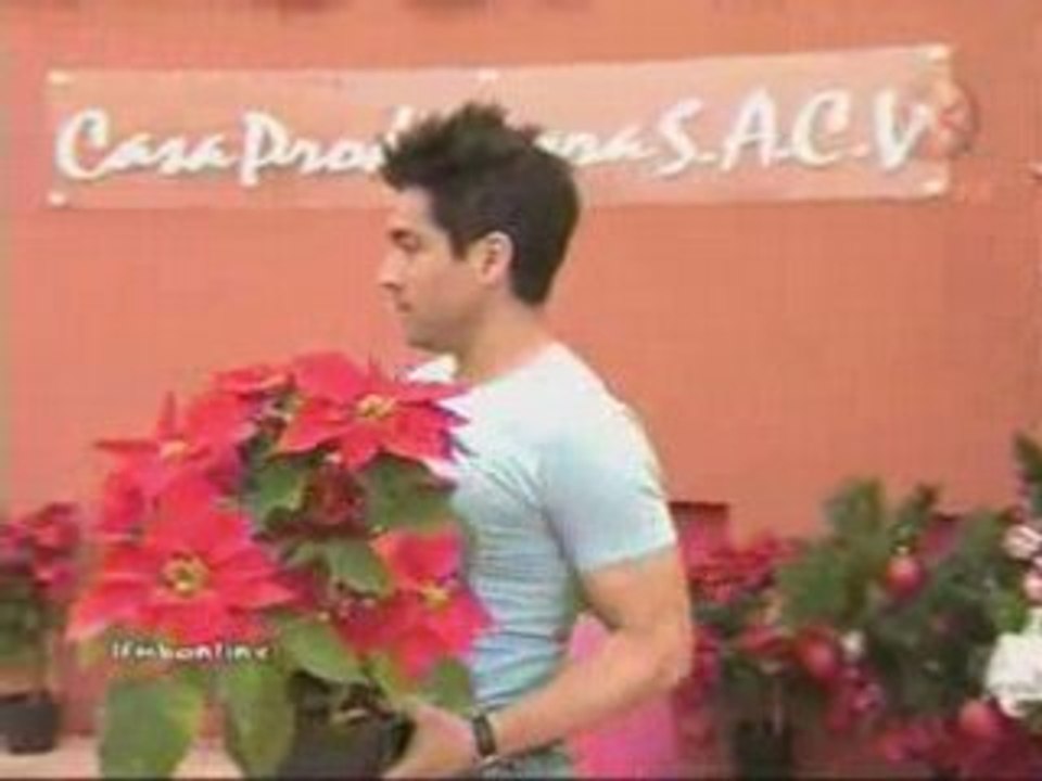 NAVIDAD-LFMB_6
