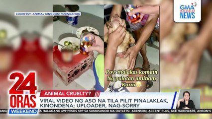 Viral video ng asong tila pilit pinalaklak, kinondena; uploader, nag-sorry | 24 Oras Weekend