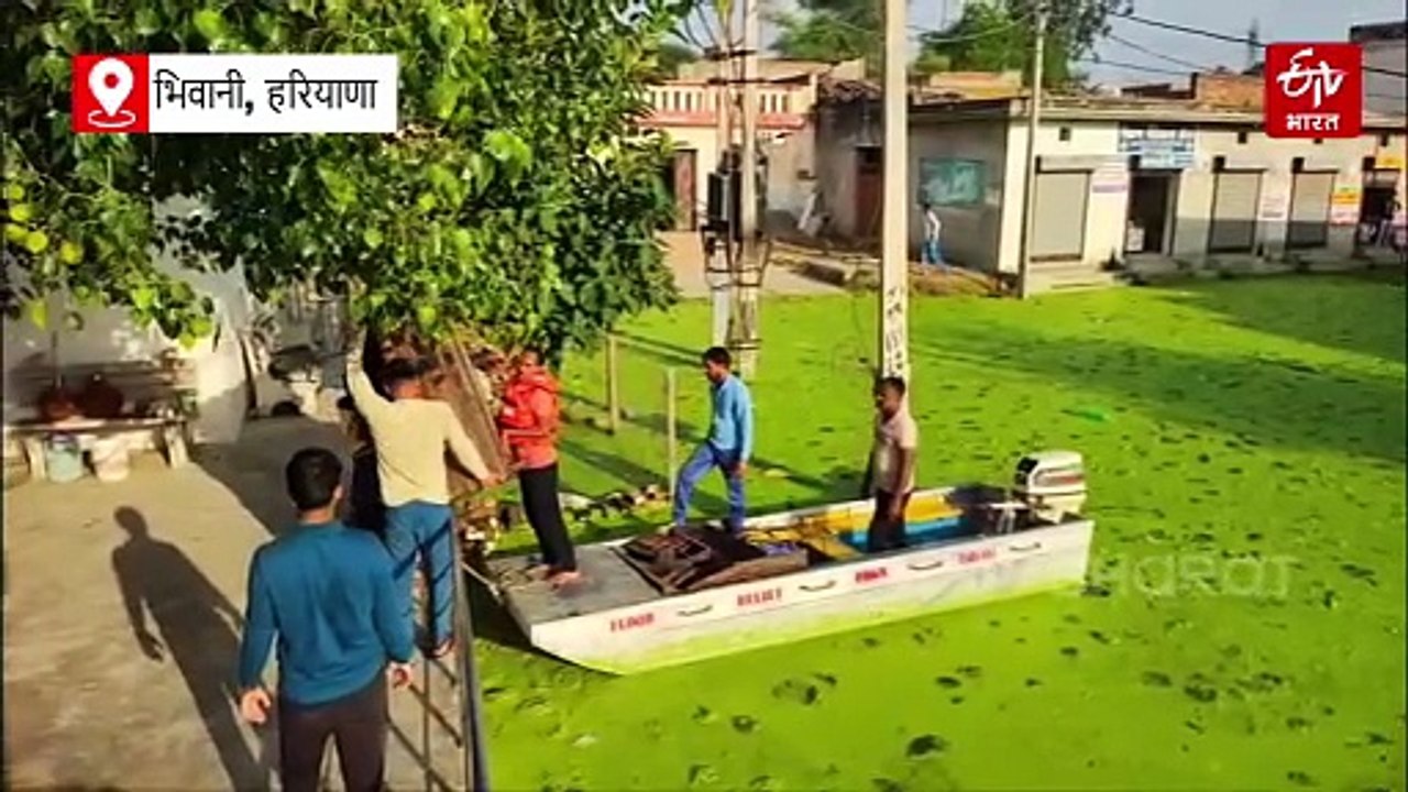 भिवानी का सागवान गांव बना टापू, मंत्री श्रुति क...