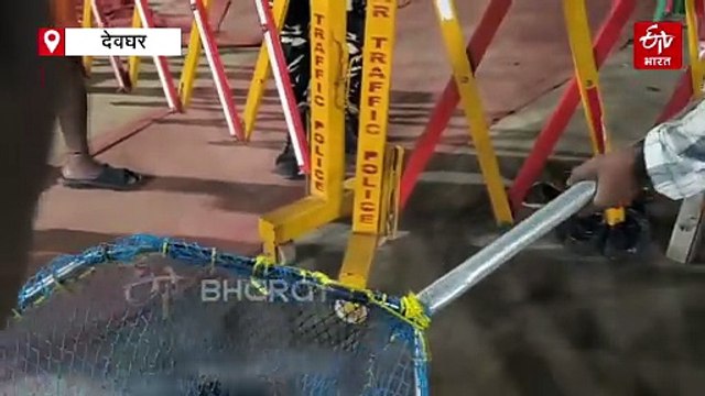 देवघर में आवारा कुत्तों के आतंक से खौफ में लोग, रोज आ रहे डॉग बाइट के 30 से 35 केस, नगर निगम हुआ एक्टिव