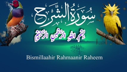 💕Surah Alam Nashrah Laka Sadrak In English 💕