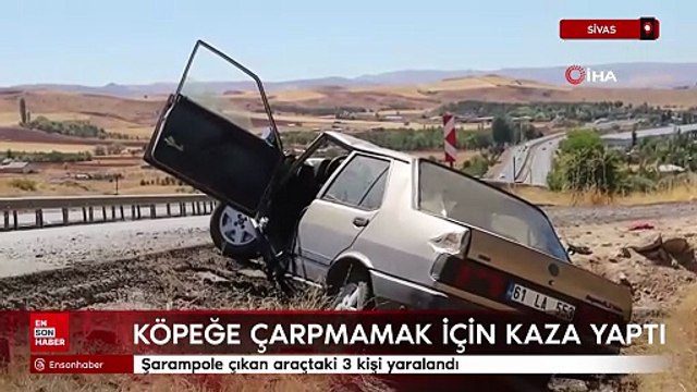 Sivas'ta köpeğe çarpmamak için direksiyonu kırdı