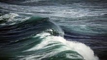 283533_tiny (2)