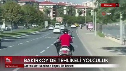 İstanbul'da motosiklet üzerinde köpek ile ilerledi