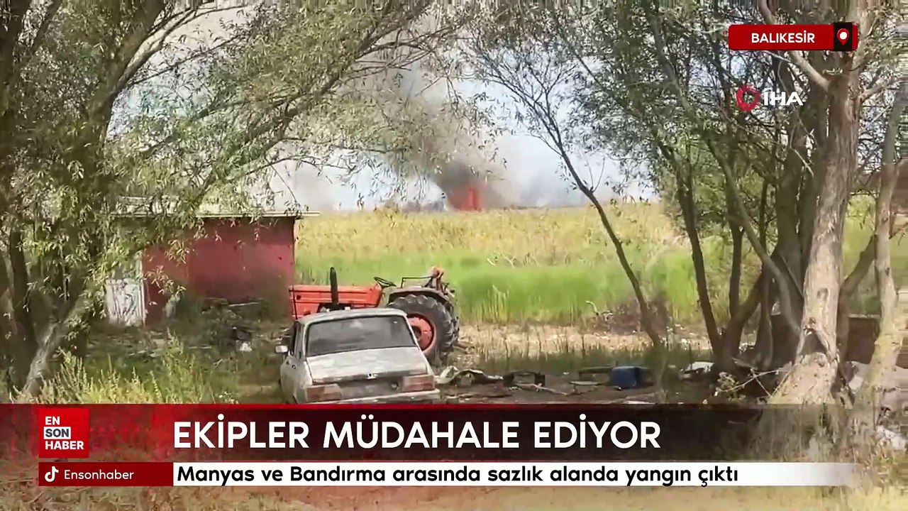 Balıkesir'de Manyas ve Bandırma arasında sazlık alanda yangın çıktı