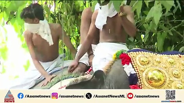ഇടഞ്ഞ ആനയുടെ പുറത്തുനിന്നും അത്ഭുത രക്ഷപെടൽ; സംഭവം പാലക്കാട് കുന്നത്തൂർമേട് ക്ഷേത്രത്തിൽ