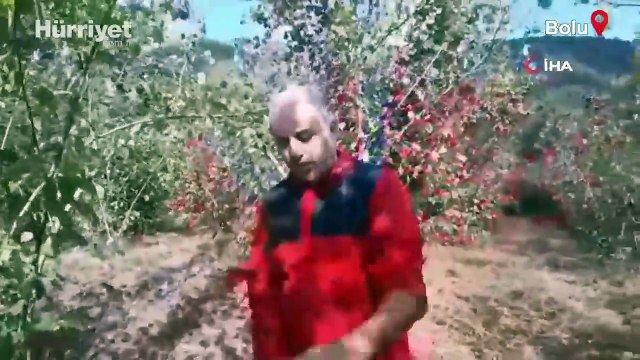 Ayının saldırısına uğrayan çiftçi dehşet anlarını anlattı: “Parmağımı kopardı”