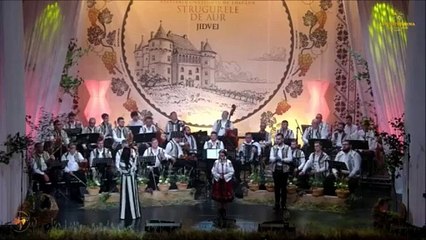 Delia Gandore - Festivalul National „Strugurele de aur” - Blaj - 03.09.2025