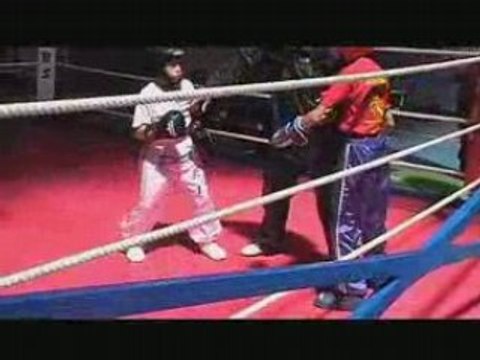 French Trophy / Semi contact clip no3