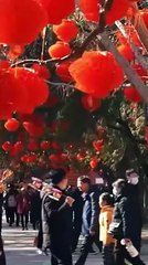 The Wife Who Claimed Her Life