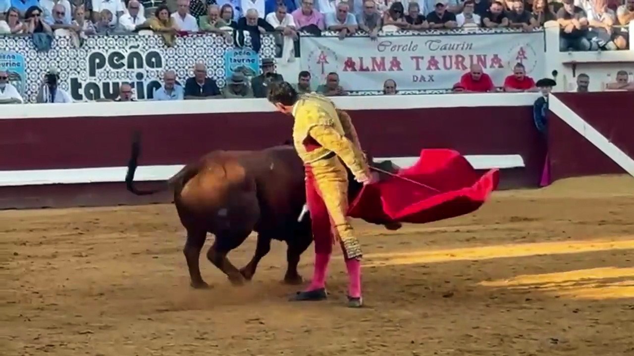 luque faenon en Dax
