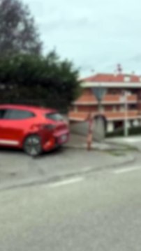 Bologna, danneggia le auto e minaccia i passanti, bloccato col taser: video