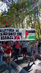Manifestantes pró-Palestina invadem final da Volta