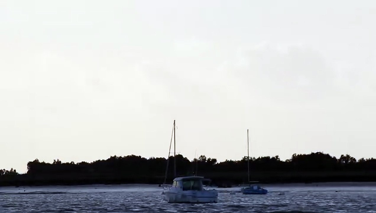 Sortie bateau avec la LPO le 150925