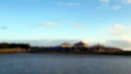 Sortie bateau avec la LPO le 150925