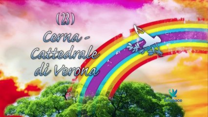 Medaglioni 023 Cerna - Cattedrale di Verona