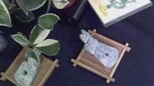 獸首玉蟬斧鋤器 Ｄ4 三星堆珍寶 玉而富