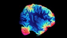 Your Brain Part : 2