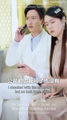 The CEO's Beloved Secretary Full Chinese Drama -English Sub