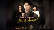 Whales Stranded, Hearts Avenged Engsub