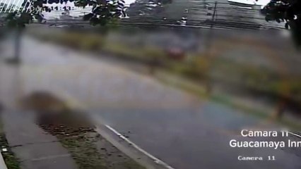 Video muestra a niños jugando antes de ser arrastrados en quinel en SPS