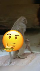 Wild Saudi Moments You Never Knew Existed! 🇸🇦🔥 │ لحظات سعودية مذهلة لم ترها من قبل!