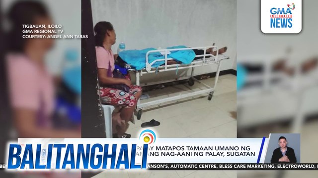 14-anyos na lalaki, patay matapos tamaan umano ng kidlat; 6 niyang kasamang nag-aani ng palay, sugatan | Balitanghali