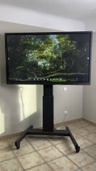 Comment avancer dans la jungle de la richesse ? (Feat Tarzan 😂)