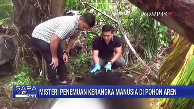 Usut Misteri Kerangka Manusia dalam Pohon Aren di Serdang Bedagai, Polisi Temukan Apa?