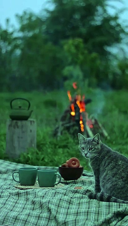 Picnic Time