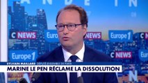 Sylvain Maillard : «Le RN a fait le choix politique du chaos»