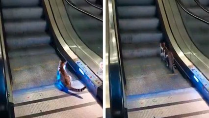 Katze versucht, die falsche Rolltreppe zu nehmen, und muss in türkischem Flughafen „gerettet“ werden