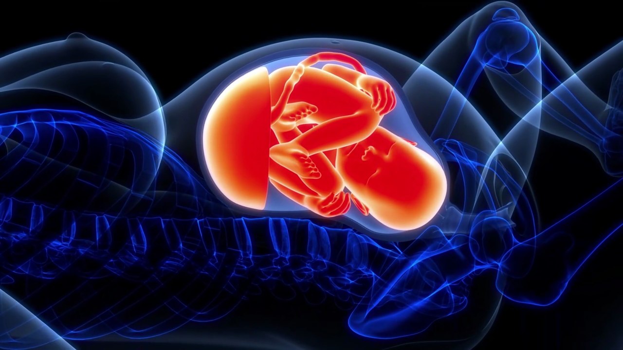 China Develops Pregnancy Robot Capable of Giving Birth