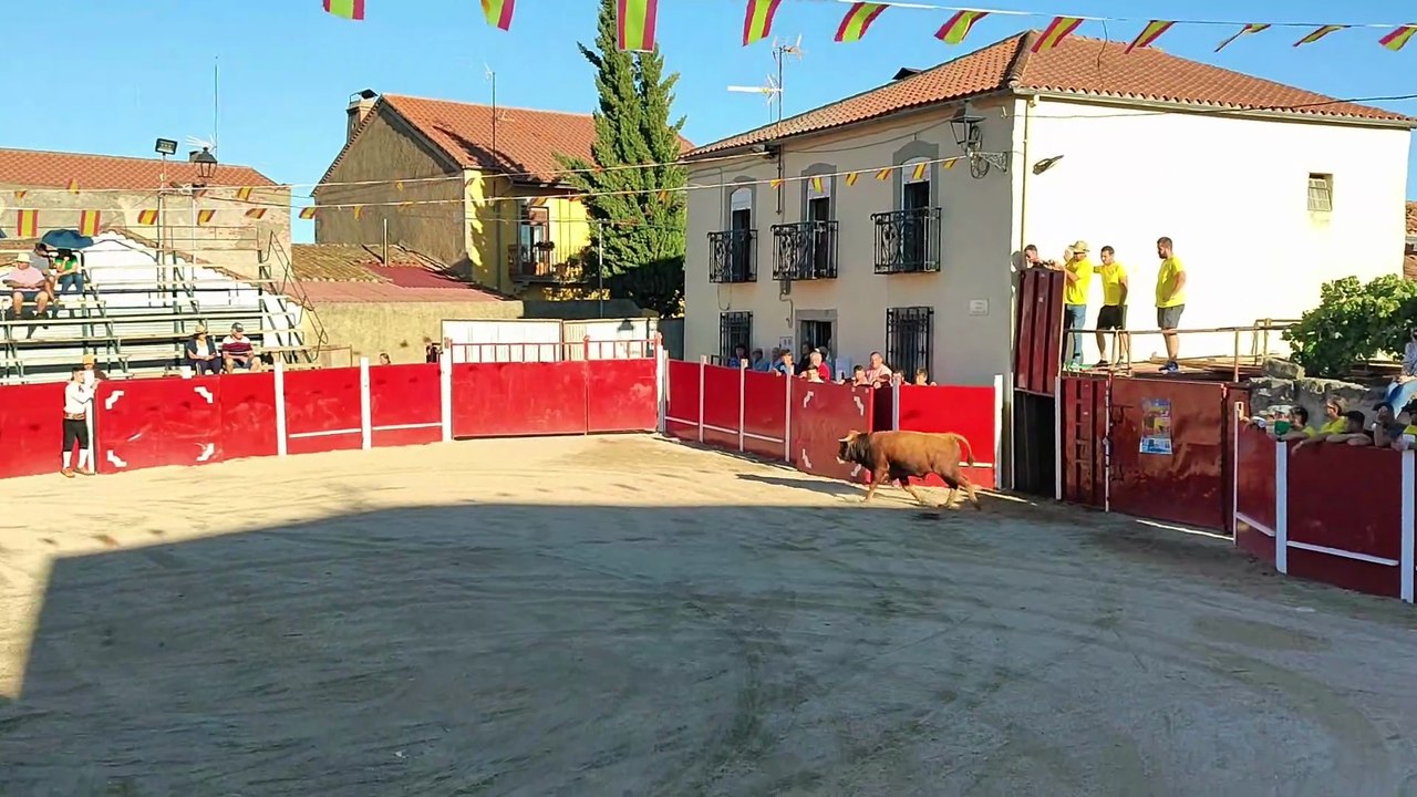Tentadero de aficionados y recortes en Bañobárez