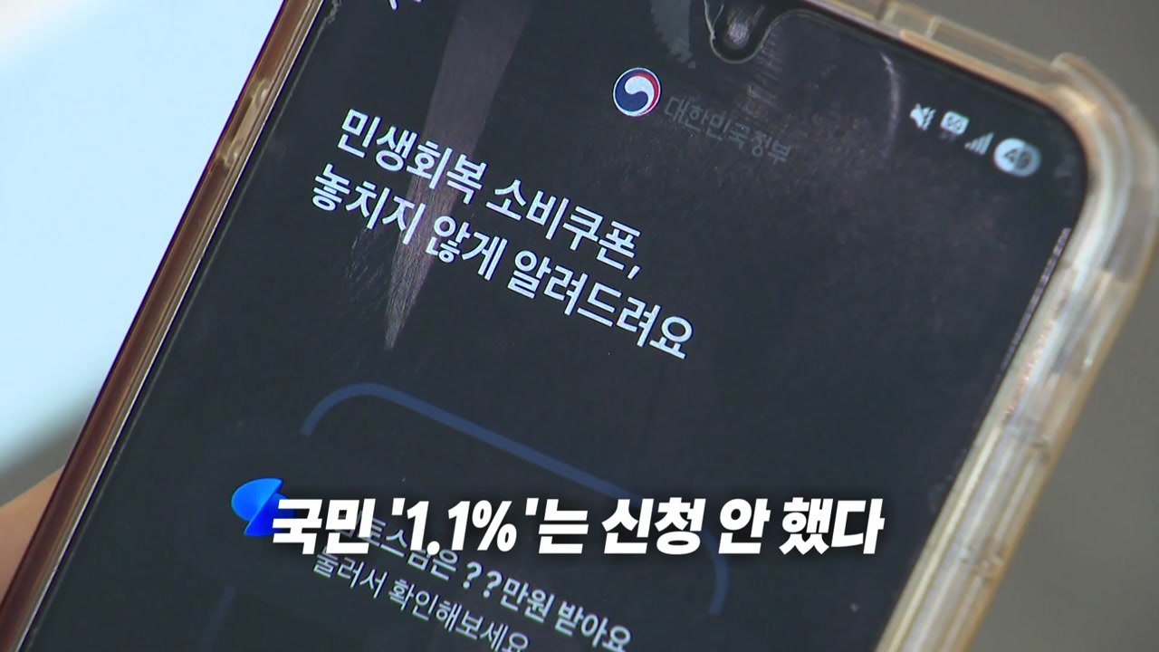 '안양 인구'만큼 1차 소비쿠폰 거부...정부 진단은? [앵커리포트] / YTN