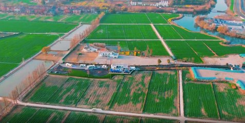 龍梅子-無名的種子【官方MV】『就讓那無名的種子啊 隨風飄遠去盛放屬於它的浪漫 遍野春天未來啊有我們肩並肩 不負流年』#龍梅子 #無名的種子【動態歌詞/Lyrics Video】