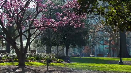 House Hunters - Season 269 Episode 9 - Long Gone From Hong Kong - Full Movie