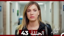 التفاح الحرام الحلقة ال 43 (Arabic Dubbed) HD