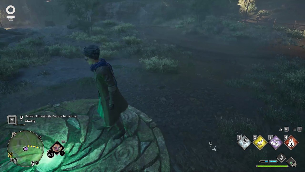 Hogwarts Legacy #70 Hidden Cave