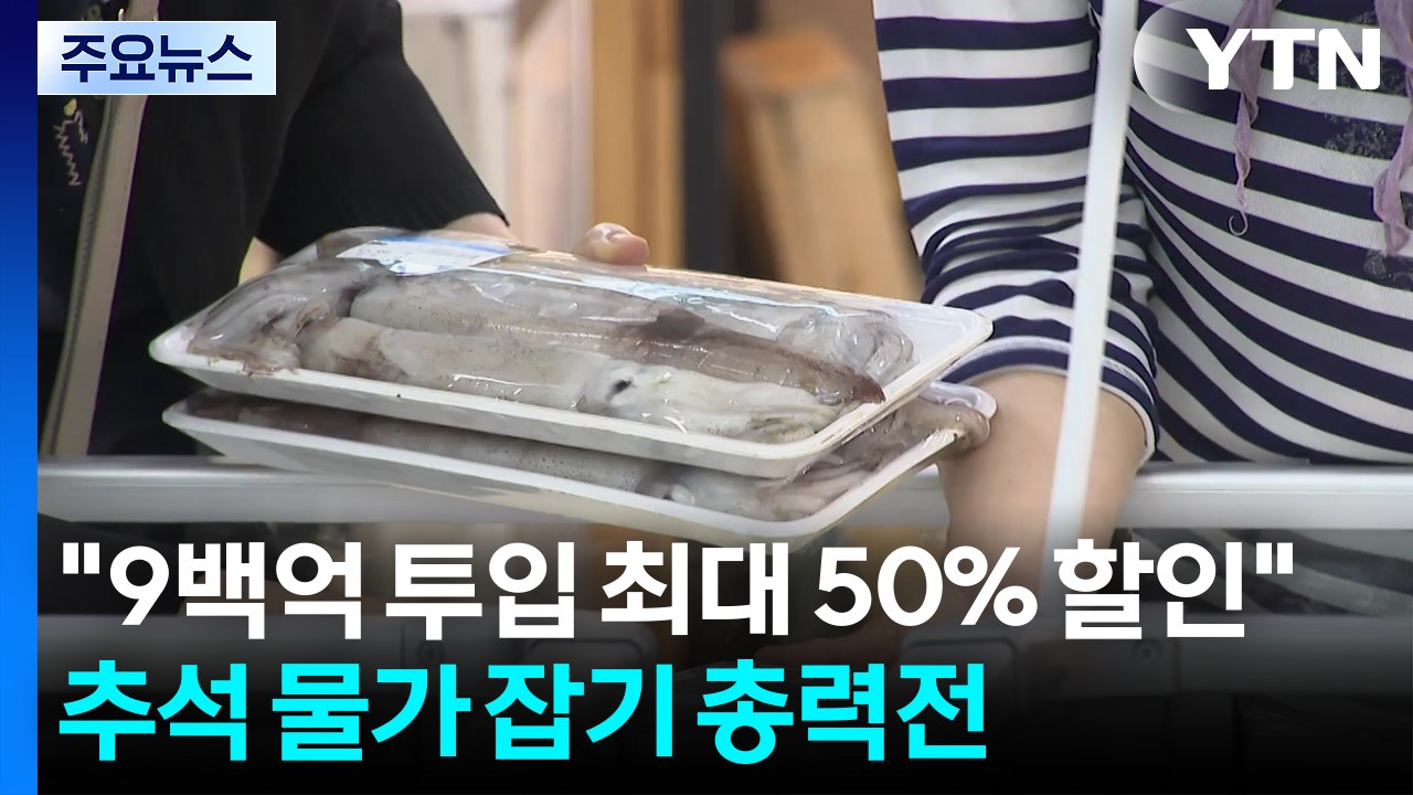 "900억 투입해 최대 반값 할인"...'추석 물가 잡기' 총력전 / YTN