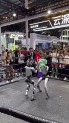 Real Steel, bon, on n'y est pas encore, mais ça va venir.