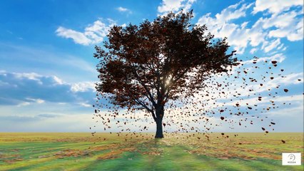 Why Resting Is a Form of Wisdom, Not Weakness 🌙✨