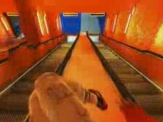 Mirror's Edge - trailer